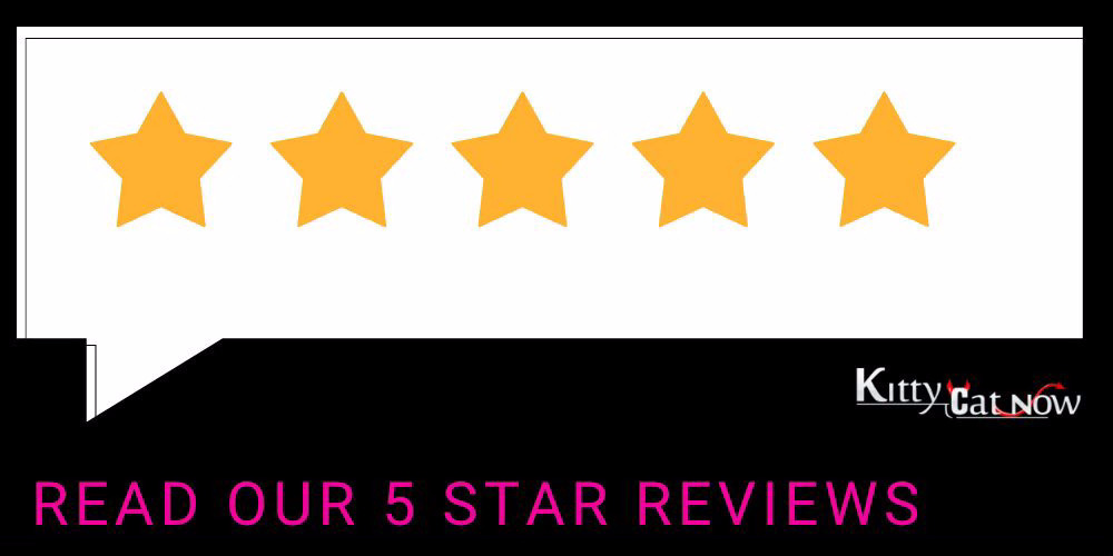 Kitty Cat Now Atlanta  Reviews