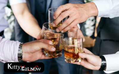 Planning a Bachelor Party in Atlanta? Let Kitty Cat Now Handle It All!