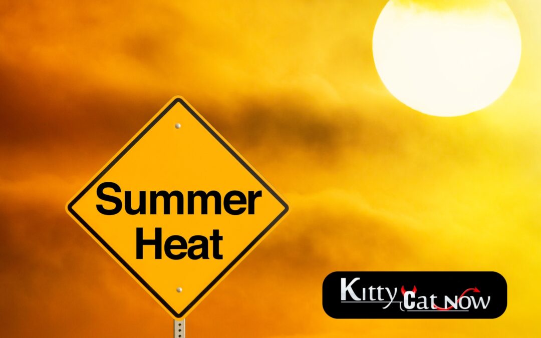 How to Heat Up Your Summer Parties with Exotic Dancers in Atlanta