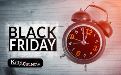 Black Friday Party Ideas: Celebrate Big with Exotic Dancers in Atlanta