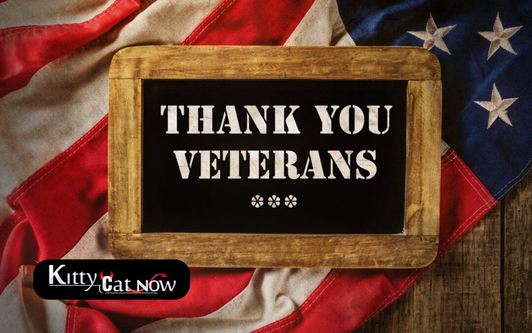 Veterans Day Ideas: Private Entertainers Bring the Party to You in Atlanta