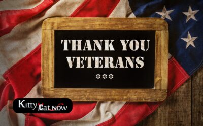 Veterans Day Ideas: Private Entertainers Bring the Party to You in Atlanta