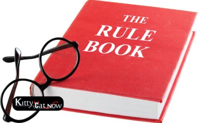 Bachelor Party House Rules in Atlanta Before the Strippers Arrive