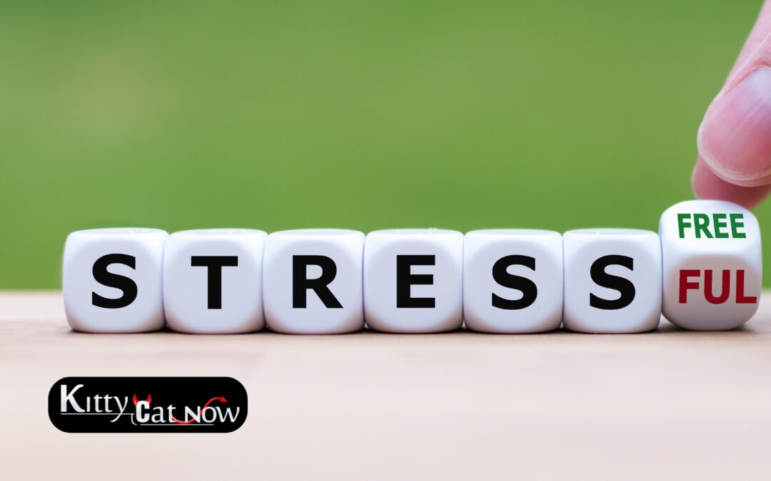 Hosting Private Party Entertainment at Home in Atlanta: A Stress-Free Guide