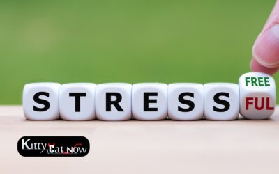 Hosting Private Party Entertainment at Home in Atlanta: A Stress-Free Guide