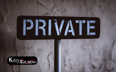 Why Private Party Entertainment Beats the Club Scene in Atlanta