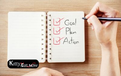 Bachelor Party Checklist in Atlanta with Strippers