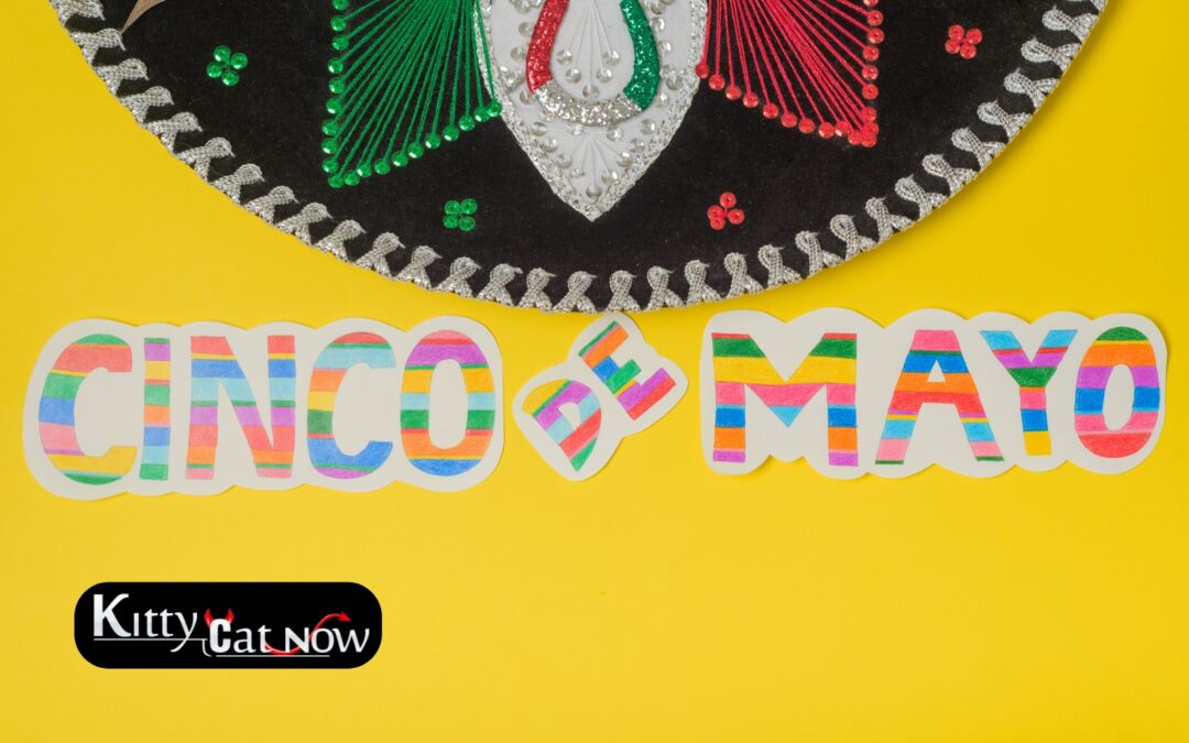 Cinco de Mayo Party Ideas in Atlanta: Tacos, Tequila & Private Strippers