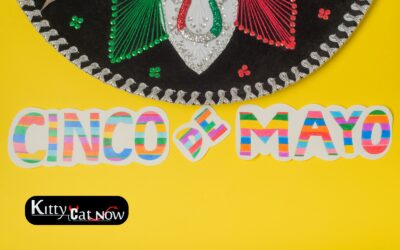 Cinco de Mayo Party Ideas in Atlanta: Tacos, Tequila & Private Strippers