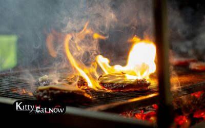Memorial Day Party Ideas in Atlanta: BBQ, Private Entertainment & VIP Vibes