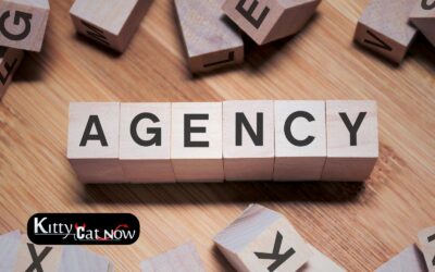 How to Choose a Legit Stripper Agency in Atlanta