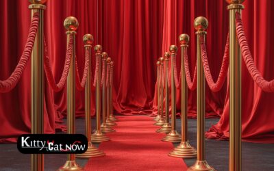 Why Booking Strippers in Atlanta Creates a VIP Experience