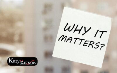 Why Booking Strippers in Atlanta in Advance Matters