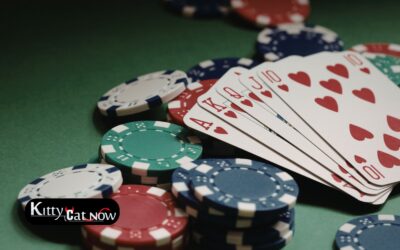 Poker Night Upgrade: Private Entertainment for Your Atlanta Home Game
