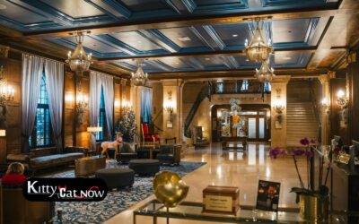 Hotel Suite vs. House Rental: Where to Host Your Atlanta Bachelor Party